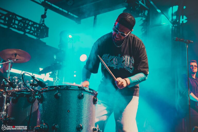 taste of polonia festival