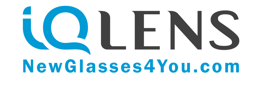 IQ LENS Taste of polonia chicago