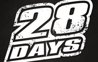 28 days, 28days, Taste of Polonia Festival, Labor Day festival, live music festivals in Chicago, live bands in Chicago
