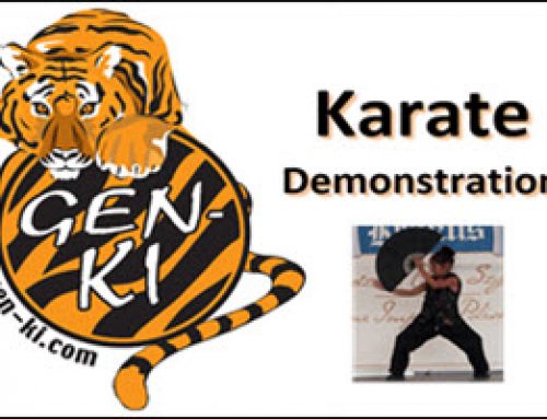 Karate Demonstrations