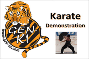 Karate Demonstration at Taste of Polonia Festival