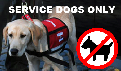 Service Dogs Only