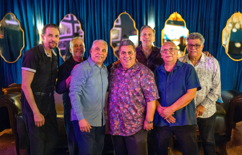 fuze taste of polonia festival chicago