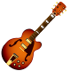 new-new-guitar